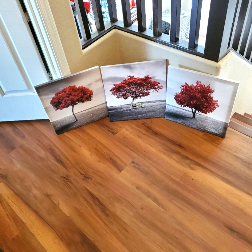 New Canvas Wall Art-Panoramic black, red and white mangrove- 16" x 16" 3 Pieces